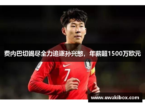 费内巴切竭尽全力追逐孙兴慜，年薪超1500万欧元