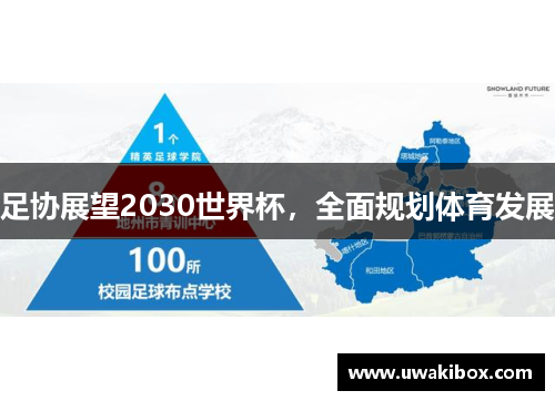 足协展望2030世界杯，全面规划体育发展