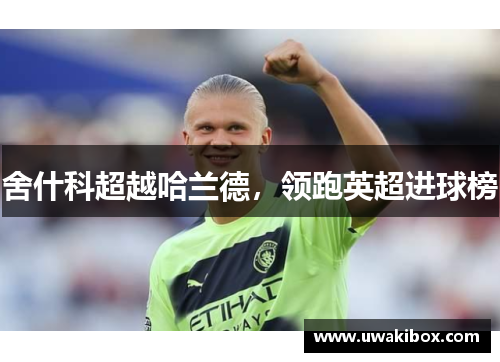 舍什科超越哈兰德，领跑英超进球榜